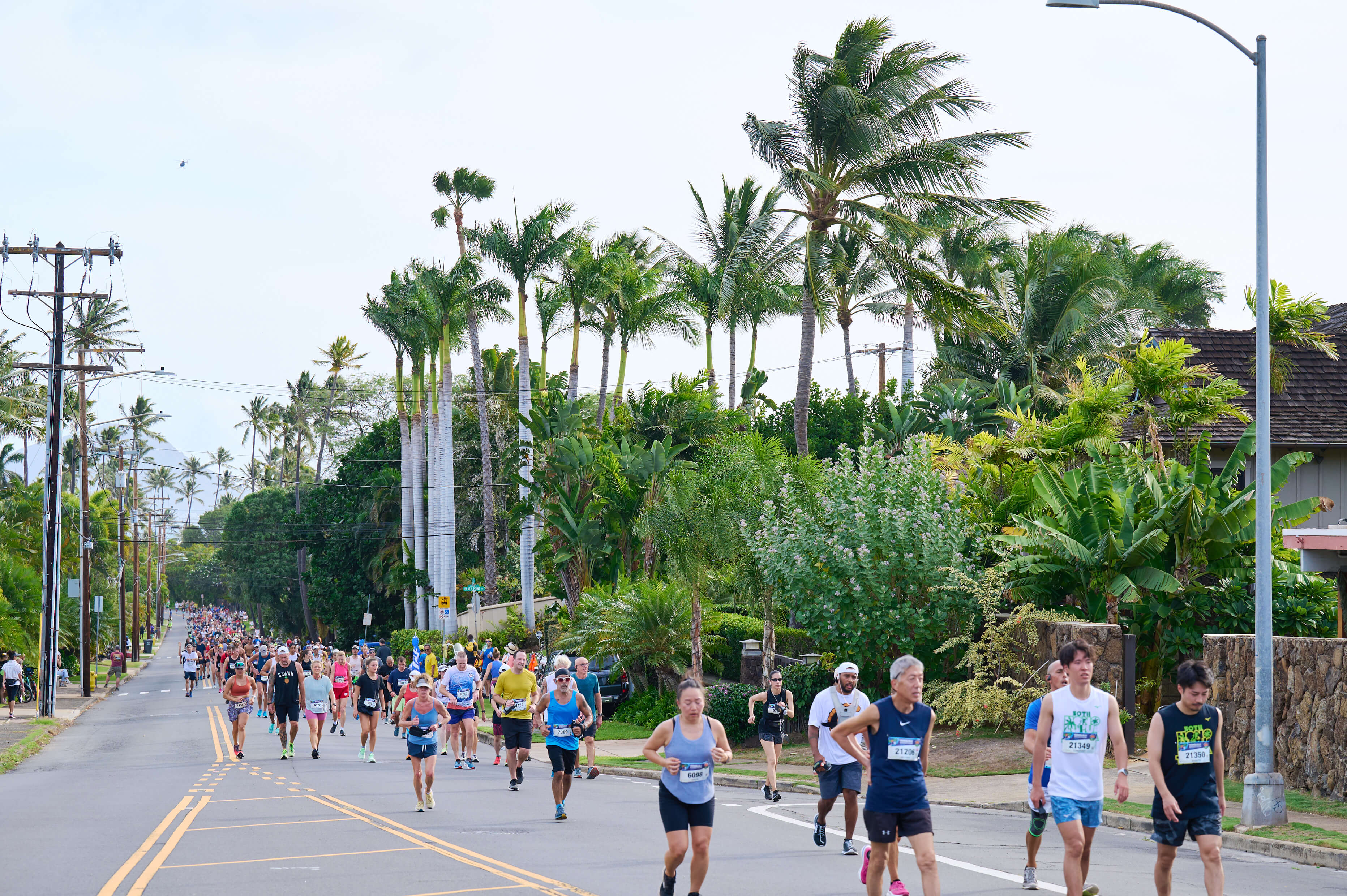 ホノルルマラソン2023＆ハパルア2024を解説！エントリー費用やコース、参加方法を紹介 NEWT（ニュート）